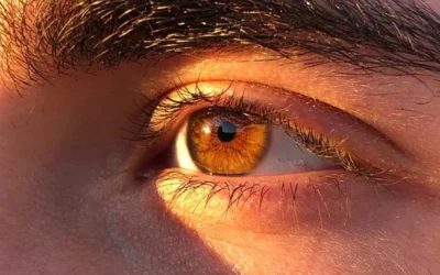 ¿Tan peligroso es exponer tus ojos a los rayos UV del sol?